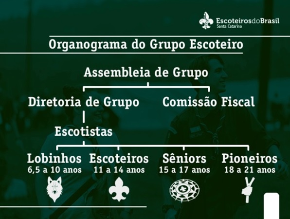 Organograma GE.jpg